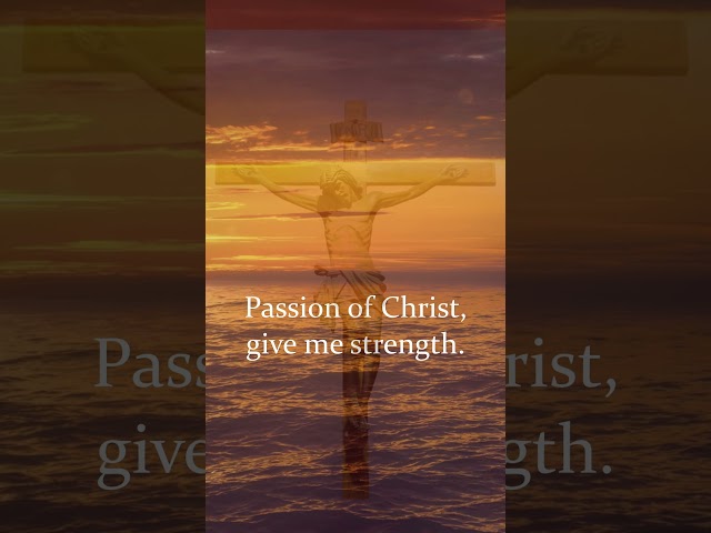 Anima Christi (Soul of Christ) | Arboleda & Bukas Palad | #shorts #god #bukaspalad #catholicmusic