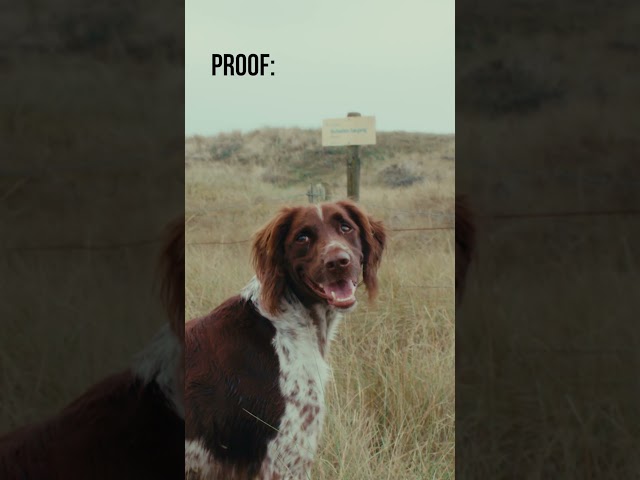 This Camera turns EVERYTHING into a MOVIE.