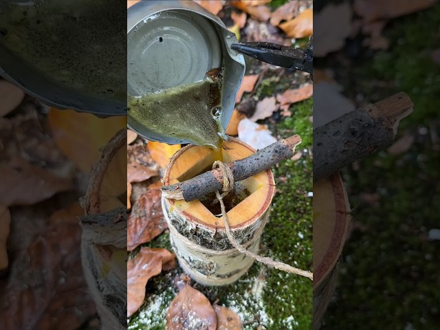 Genius Survival Night Light Made from Natural Materials. #survival #skills #outdoors