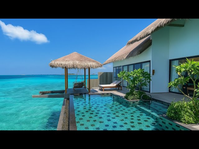 Hilton Maldives Amingiri Resort 2025 | Finding Affordable Luxury