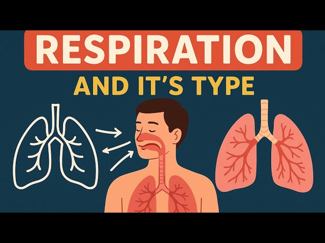 Respiration of organisms for class 7