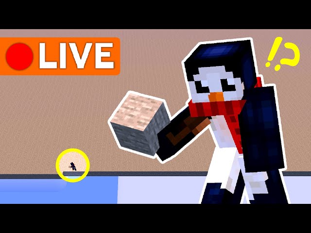 🔴 Let's Cover this Minecraft SMP in Stone