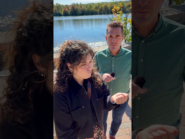 What are the priorities for Estrie? | Quebec Election 2026