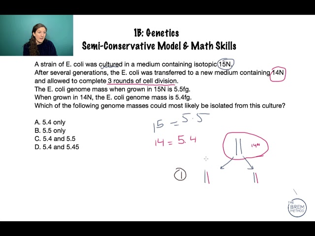 1B-2 Semi-Conservative Model MCAT Question