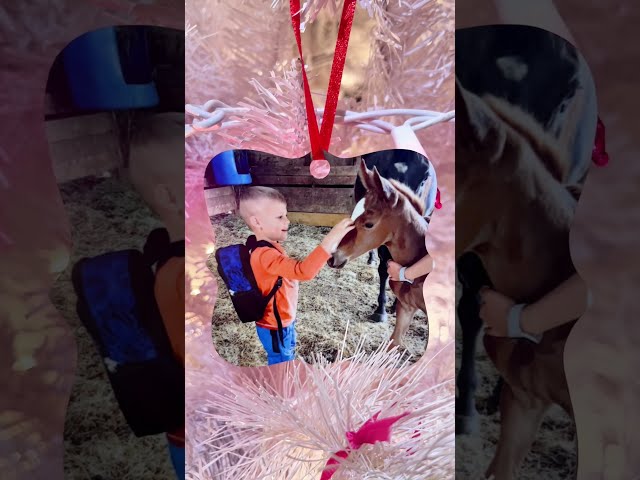 Sweet Sublimation Ornaments #sublimation #sublimationblank