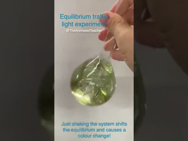 Equilibrium traffic light experiment chemistry