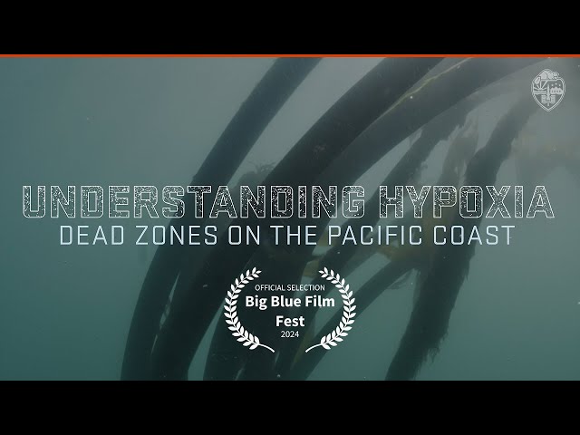 Understanding Hypoxia: Dead Zones on the Pacific Coast