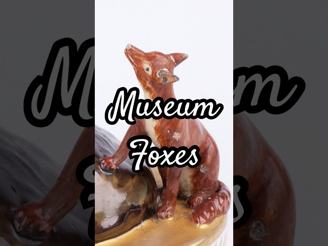 The V&A’s Fox Collection 🦊