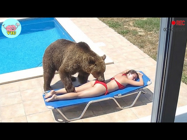 225 MOST TERRIFYING ANIMAL ATTACKS Ever Caught on Camera | Wild Animals Invading People’s Homes
