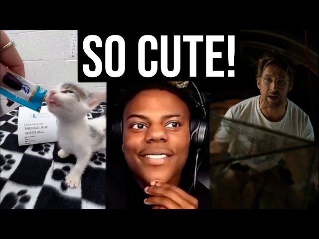 10 Minute Meme Earworms Compilation | Part 4