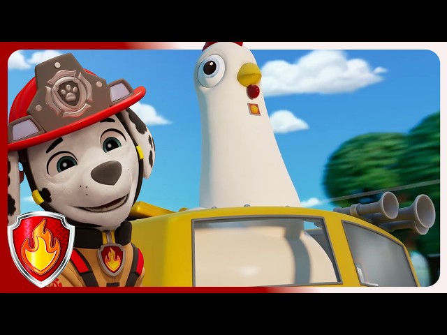 Chicken Conductor | Marshall PAW Patrol  | Cartoons For Kids