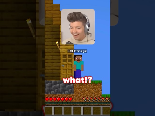 I Made Minecraft 2D