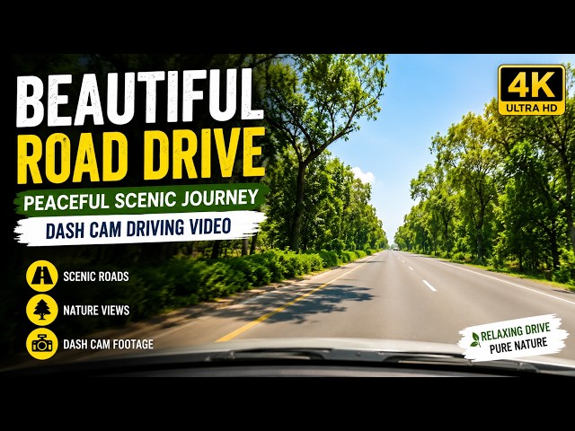 Beautiful Road Drive | Peaceful Scenic Journey | Dash Cam Driving Video