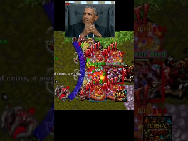 Keloke traidor #tibia #tibiaclips #tibiammorpg #tibiaedits #tibiaonline
