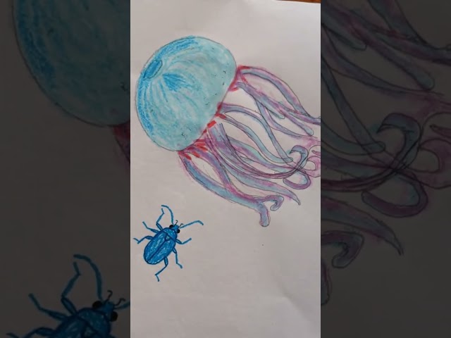 I draw a jellyfish 🪼and a blue insect