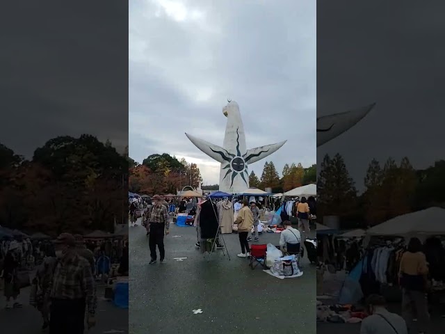 Shopping in one of the biggest flea market in Osaka !