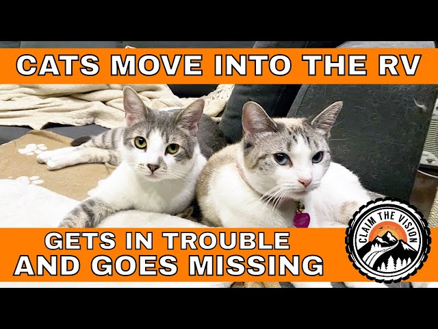 RVing with Cats - #RVLife #FullTimeRV #RVWithCats