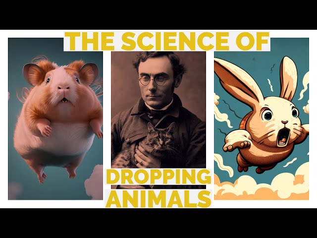 Why Cats Always Land On Their Feet, and the 19th Century's Scientists' Love for Dropping Animals