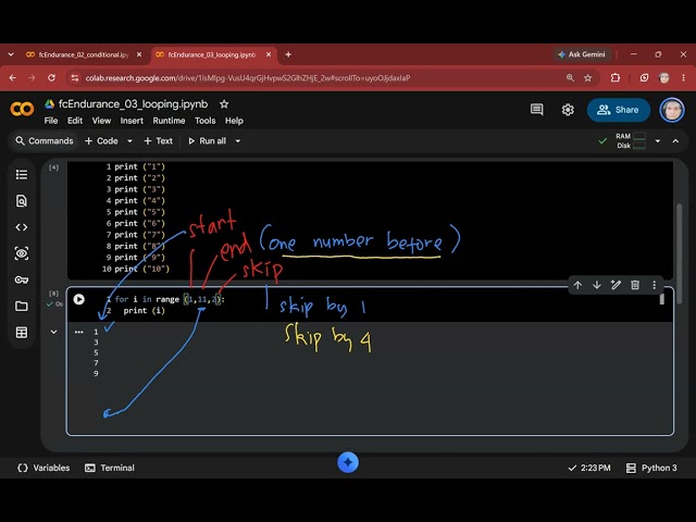 Python Beginner - Looping
