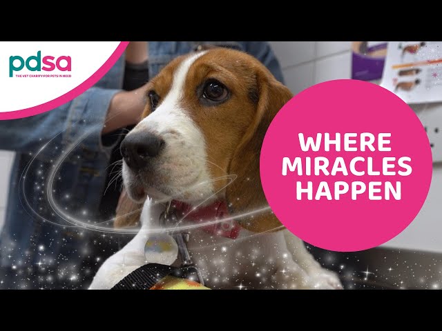 Where miracles happen | Winter Appeal 2025