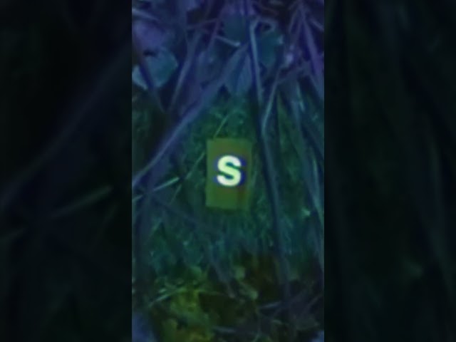 stay tuned (edit by @jeffiot )
