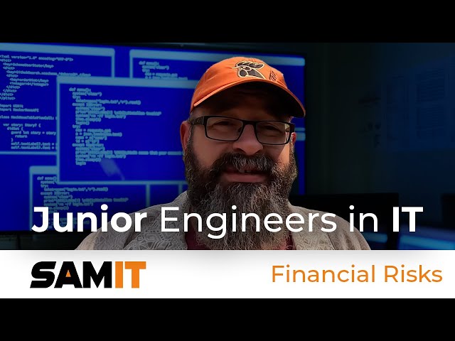 Risk of Using Junior Engineers in IT