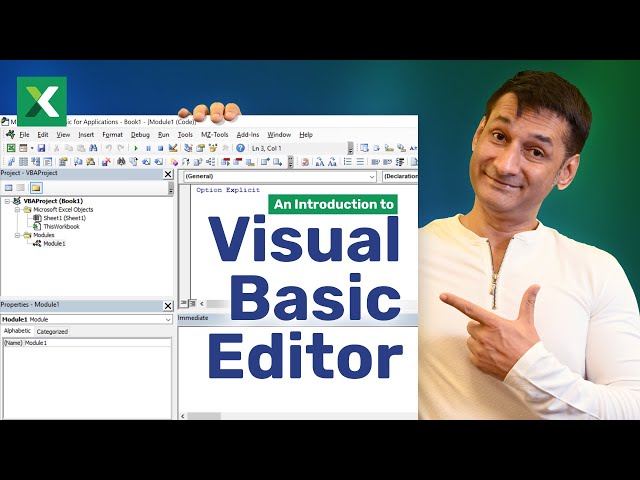 Visual Basic Editor - An Introduction