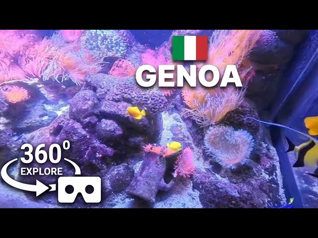 360⁰ video.Genoa aquarium 1