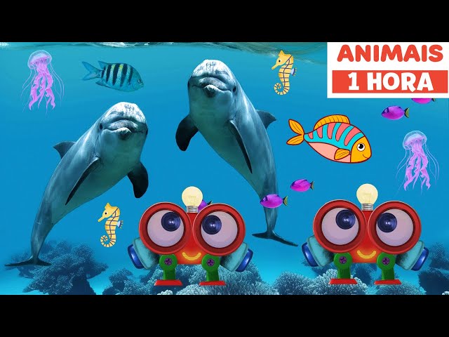 O Segredo por trás das Aventuras de Robi com Animais Selvagens | Raposa + | Primeira Universidade