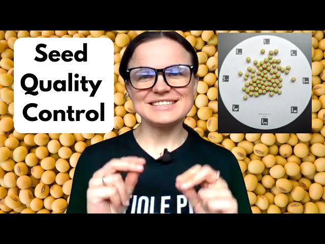 AI in Agriculture: How AI Transforms Seed Quality Assurance 🌱 | Soybeans & Legumes - One Idea a Day