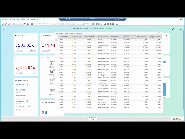 SAP Business One - Financials and Collection Demo