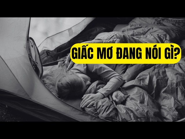 Giấc Mơ, Bộ Não Và Những Cuộc Gặp Gỡ Không Tình Cờ