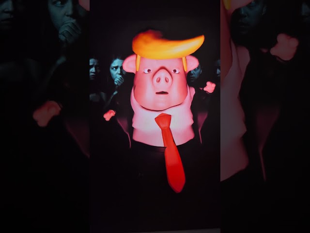 It's spooky time on the island.  #trump #files #dance