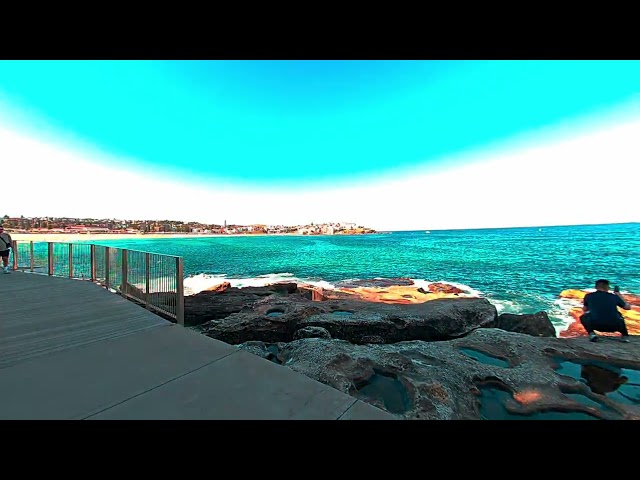Bondi Beach