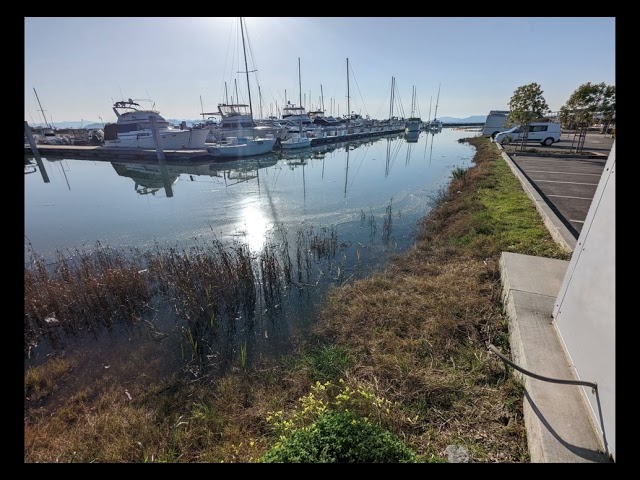 High Tide vs Low Tide in the San Francisco Bay
