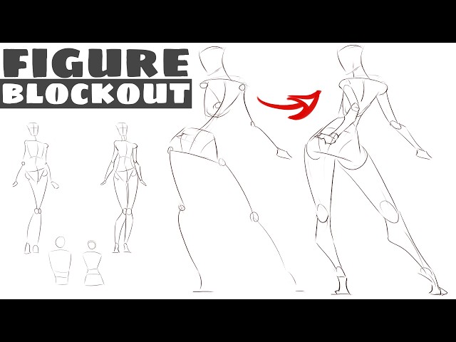 what to do after drawing the skeleton
