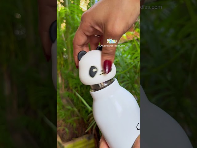 Animal bottle #returngifts #animaltheme #birthdaygifts #schoolessentials #waterbottle #shorts