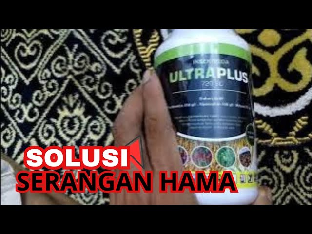 Ultraplus insecticide