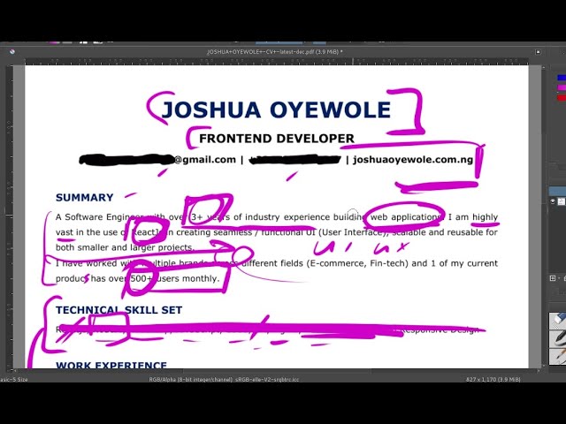 Resume review for frontend developer