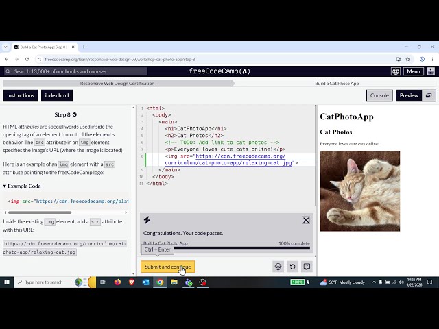 Build a CatPhoto App