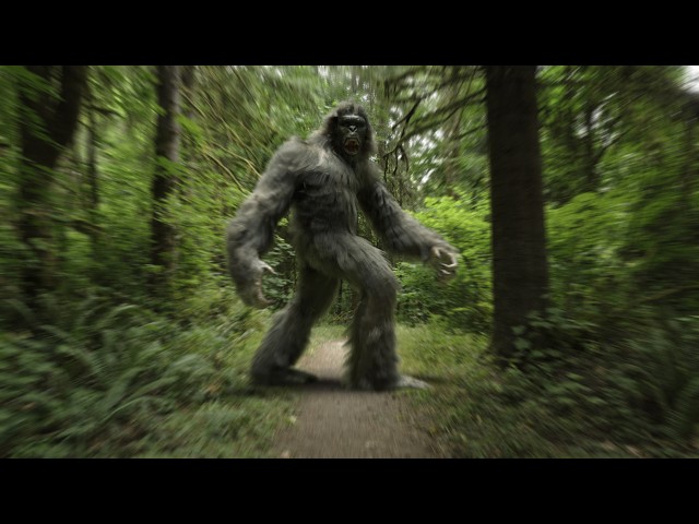 The Legend of Bigfoot - Short film