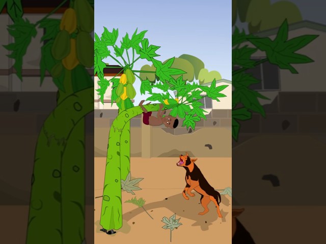Funny Prank on Dog Goes Wrong | Funny Cartoon Animated Video  #comedyshorts #funnycartoonanimation