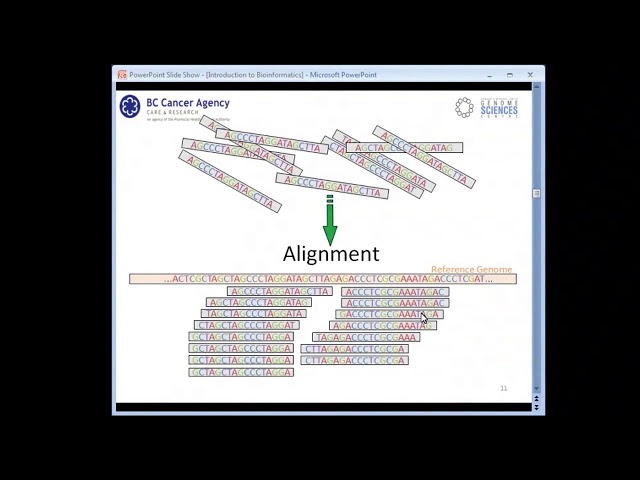 Introduction to Bioinformatics