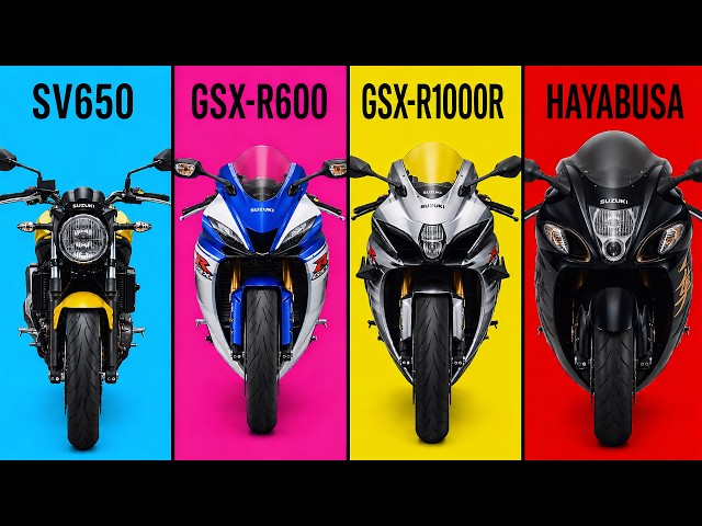 The 7 Levels of Suzuki Explained in 10 Minutes