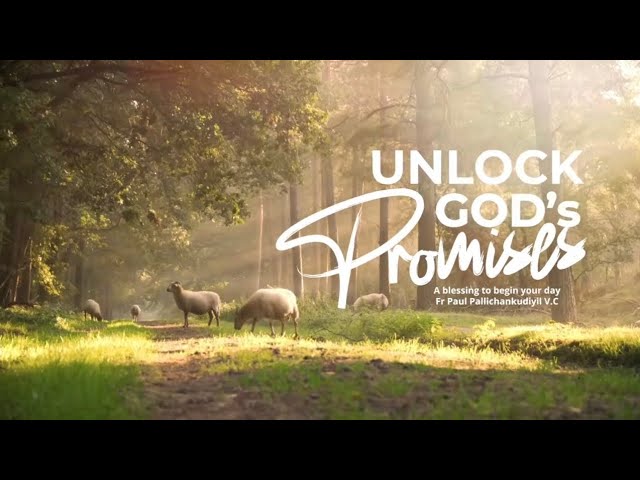 Unlock God's Promises: a blessing to begin your day (Day 991) - Fr Paul Pallichamkudiyil VC