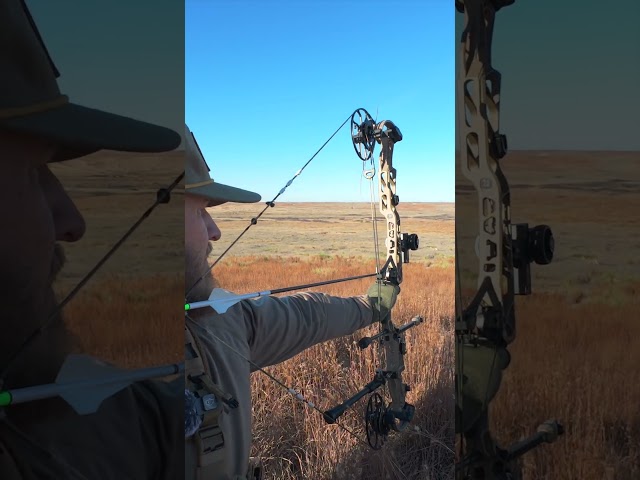 GIANT Plains Buck! Watch the full video on our channel!