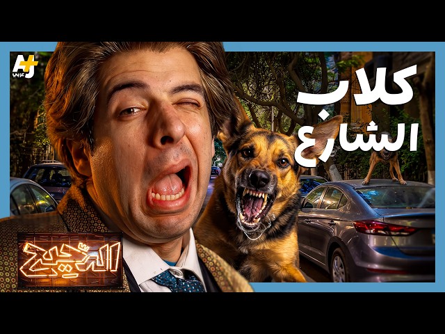 الدحيح | من الحملة الفرنسية إلى اليوم.. قصة تاريخ كلاب الشوارع