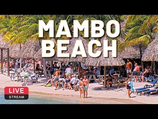 🌴 Mambo Beach | Curaçao | LIVE Cam