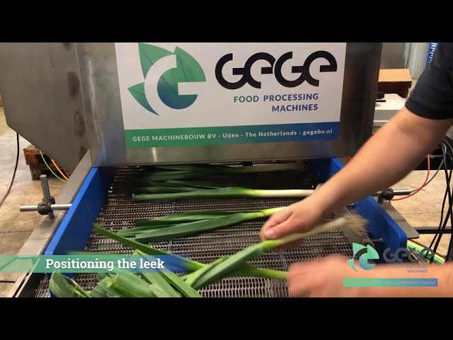 Leek processing line with vision - GEGE machinebouw