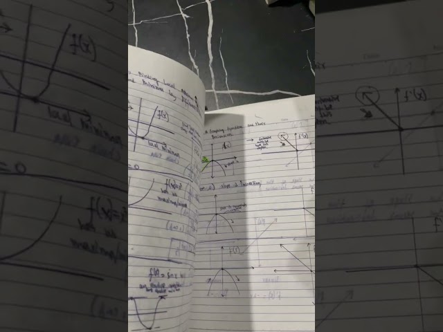 calculus notebook and computations